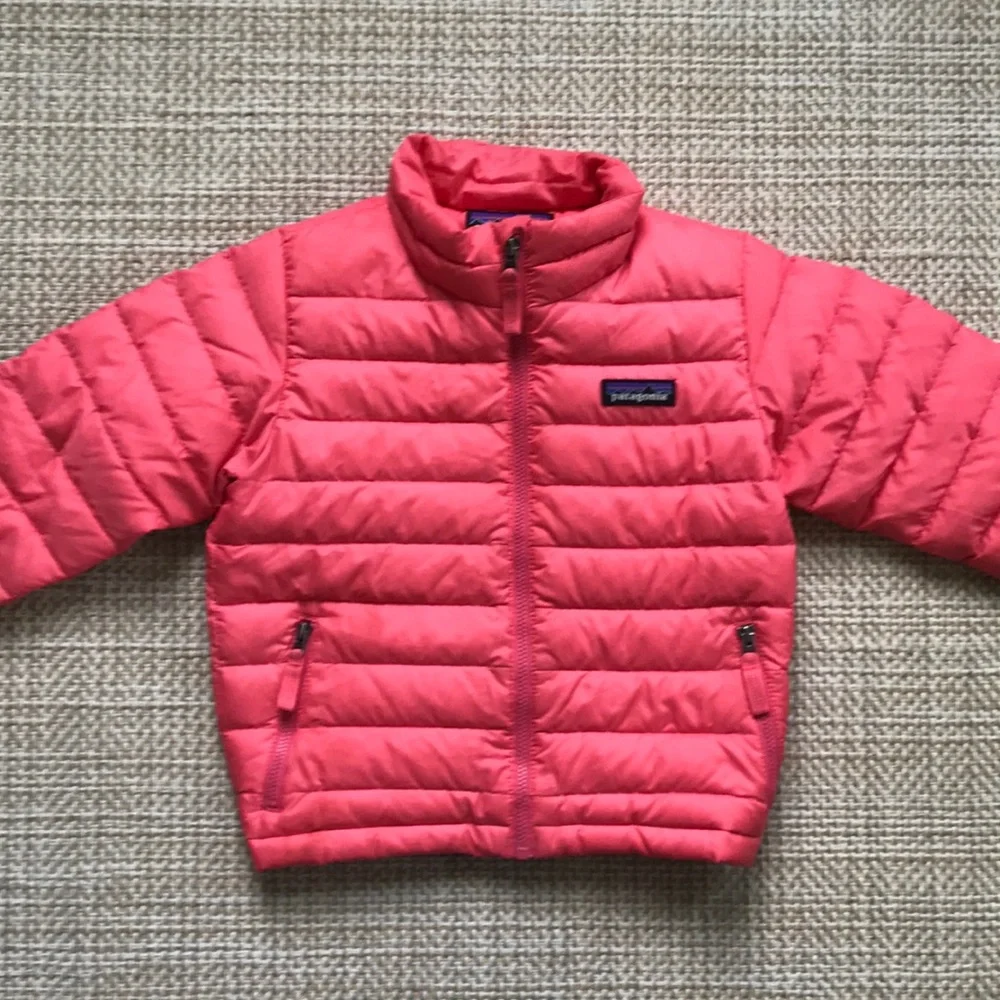 Patagonia Puffer Jacket (size 3T)